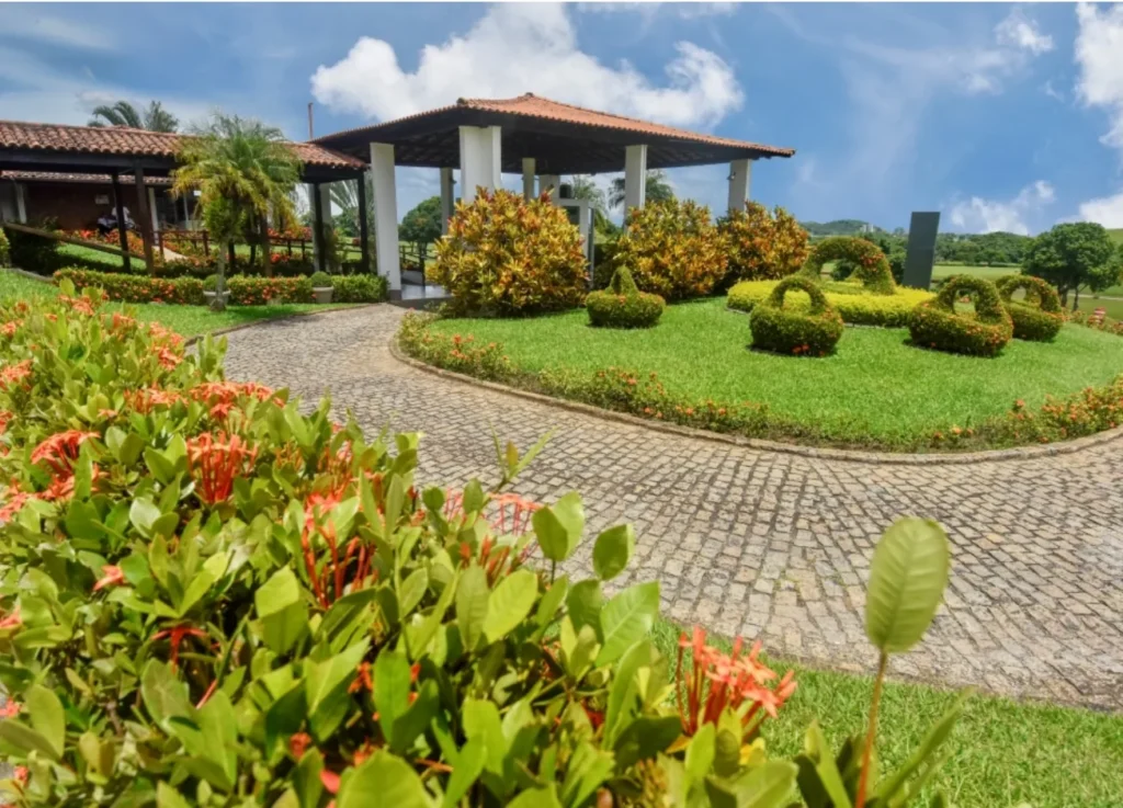 JARDIM DA SAUDADE PACIÊNCIA